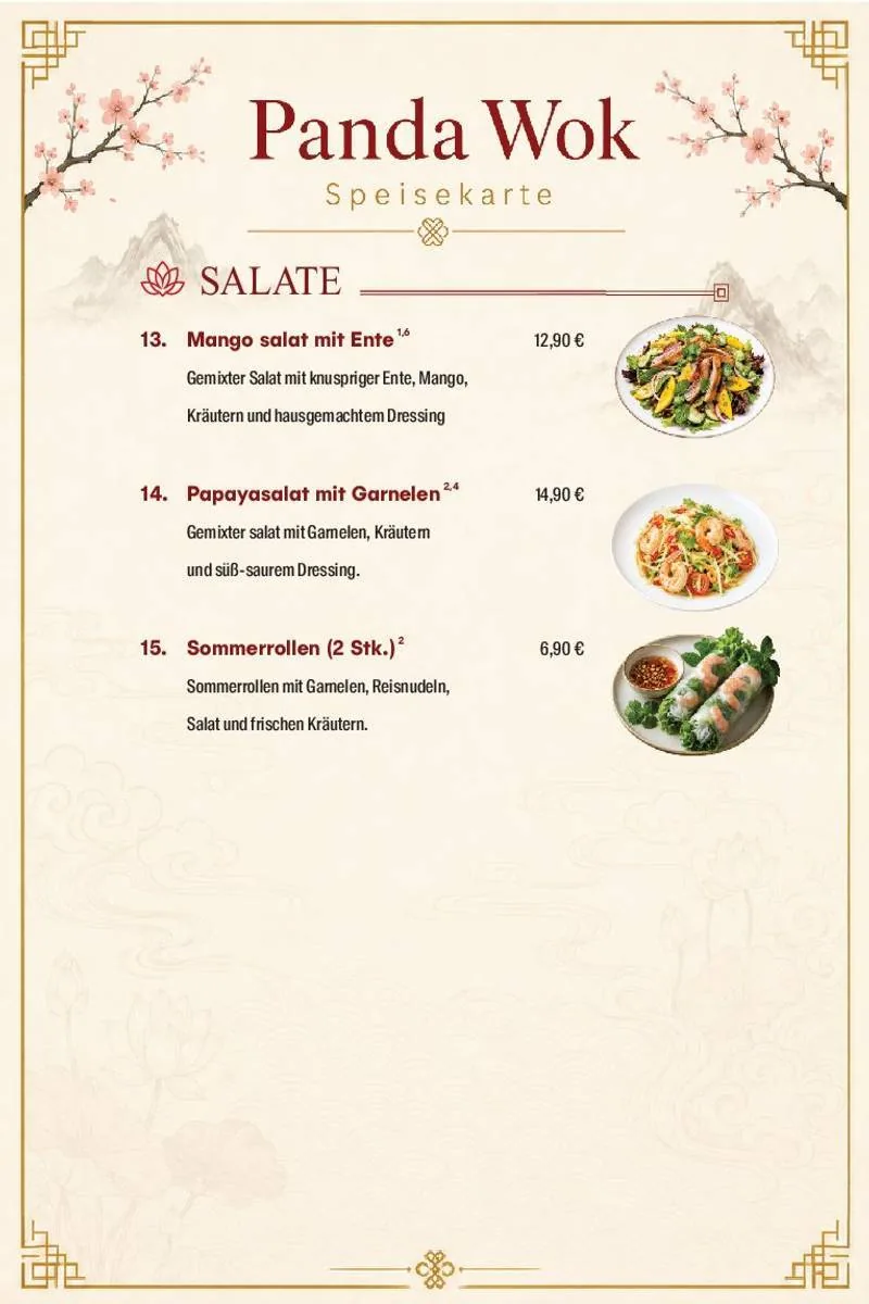 Panda Wok Speisekarte – Salate · 13–15
