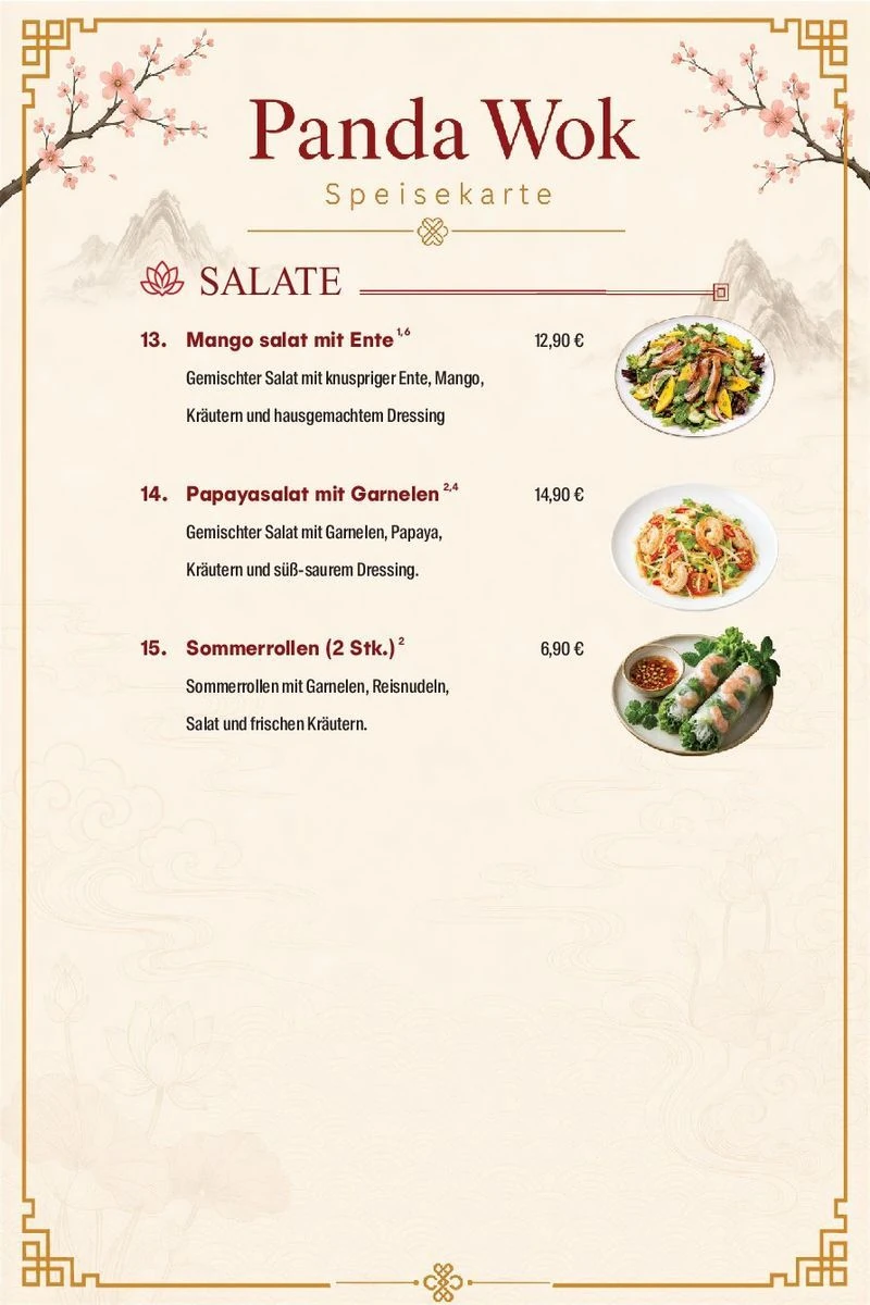 Panda Wok Speisekarte – Salate · 13–15